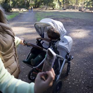 Autumn Stroll in Thistlewyck