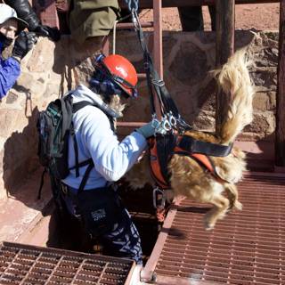 Mine Rescue Mission: Man and His Canine Companion