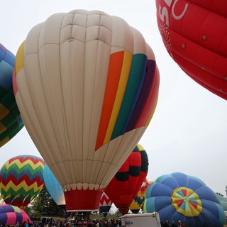 Colorful Hot Air Balloons Rising at Sonoma Classic