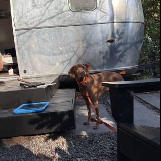 Glamping Guardian