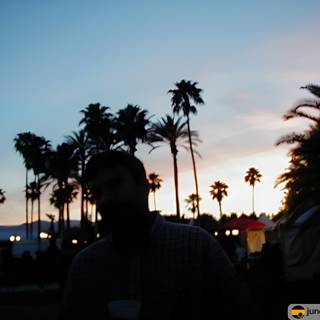 Silhouette of a man standing in front of palm trees at sunset