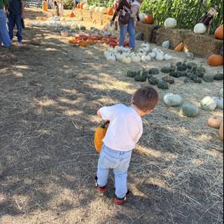 Pumpkin Picking Adventure