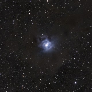 NGC 7023 — The Iris Nebula in Cepheus