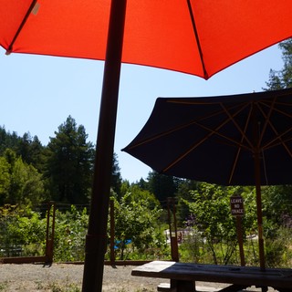 outdoor restaurant or park dining area