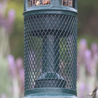 Green Mesh Bird Feeder in Garden Setting