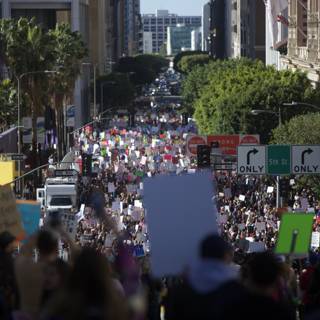 Women's March on Los Angeles