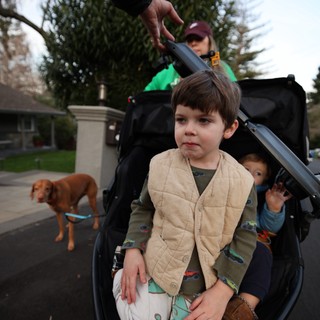 Young Boy Standing in Double Stroller with Dog and Sibling