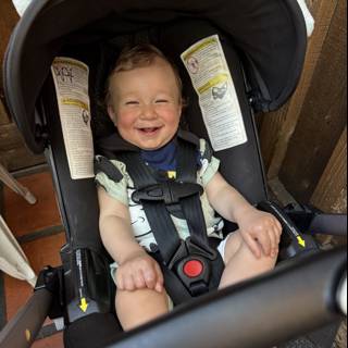 Joyful Moments in Walnut Creek