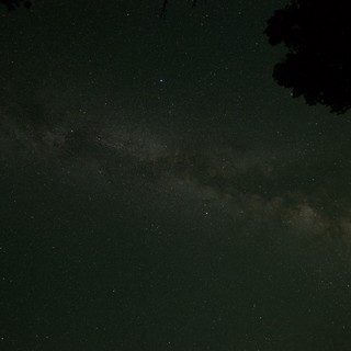 Milky Way Arches Over Lake Tahoe Pine Forest