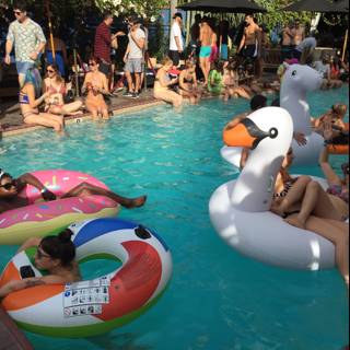 Pool Party Fun