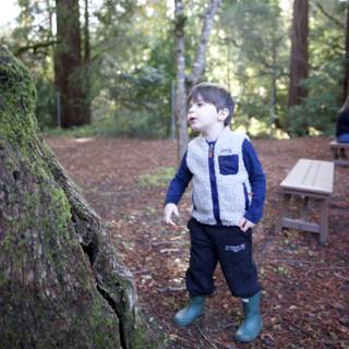 Exploring Thistlewyck's Enchanted Woods