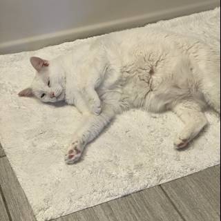 White Cat Relaxing on Cozy Home Decor Rug