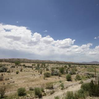 Desert Scenery from the Train
