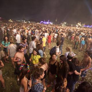 Night Sky and Excited Crowd at Coachella Music Festival