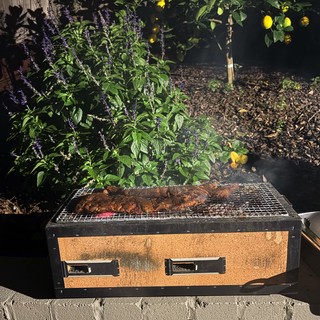Outdoor BBQ Grilling Meat Skewers in Garden Setting