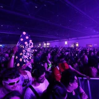 Electric Purple Crowd Energy at Wobbleland 2026