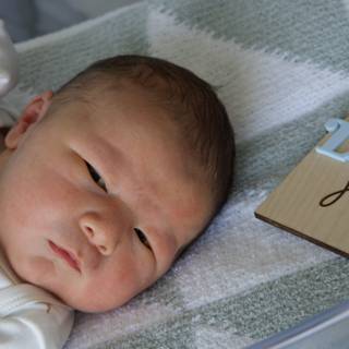 Welcome to the World, Leland