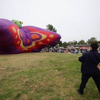 Giant Butterfly Balloon Inflates at Sonoma County Festival