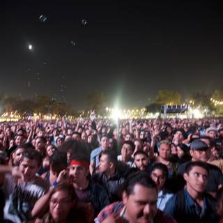 Night Rhythms: The Concert Crowd