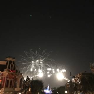 Magical Fireworks Spectacle at Disneyland