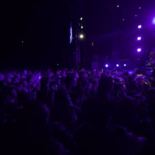 Purple Haze at the FYF Concert