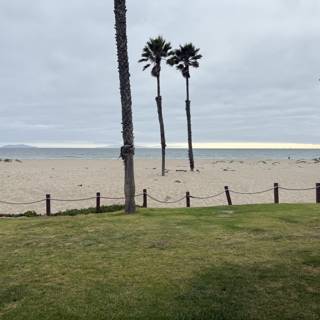 Tranquil June by the Shore