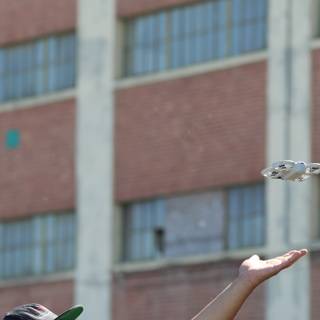 Catching Flight at Maker Faire