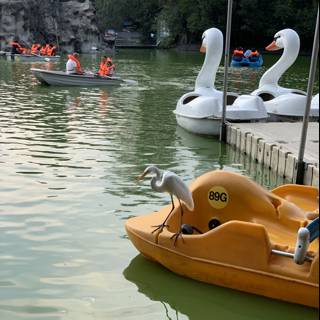 Ducks in a Quiet Pond