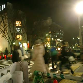 Night Stroll in Shinjuku