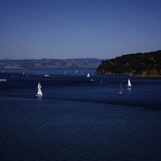 Sailing Bliss in the Bay of San Francisco