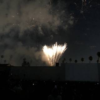 Fireworks Light Up the Night Sky Above the Crowd