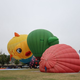 Giant Character Balloons Inflate at Sonoma County Festival