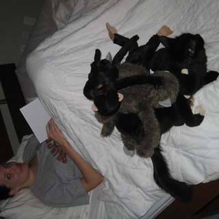 Woman Writing in Bed Surrounded by Stuffed Animals