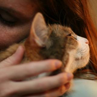 Lovingly Holding our Abyssinian Cat