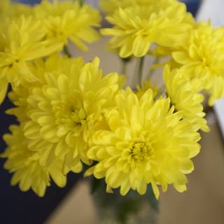 Yellow Flower Arrangement