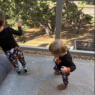 Autumn Adventures on the Patio