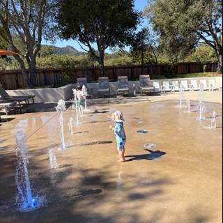 Splashing Into Joy