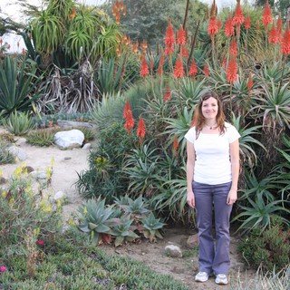 garden-path