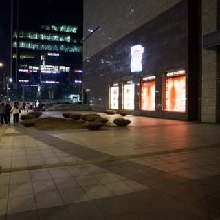 Majestic Urban Night in Korea, 2024