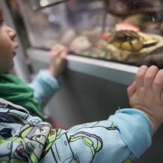 The Aquatic Discovery at the California Academy of Sciences