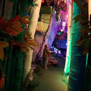 Enchanted Forest Installation with Illuminated Path