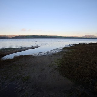 Tranquil Estuary at Dusk with Rolling Hills