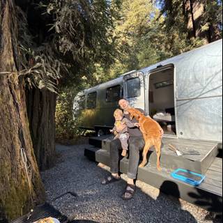 Redwoods and Road Trips: A Perfect Day in Guerneville