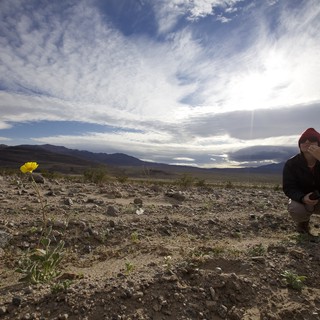 desert-photography