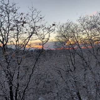 Winter Sunset Over Snowy Landscape