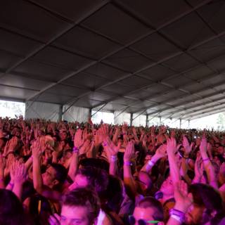 Coachella Crowd Goes Wild!