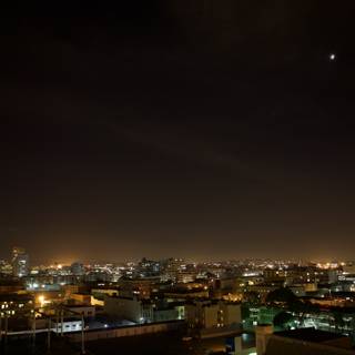 Lunar Night in the Metropolis