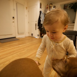 Toddler Exploring Round Wooden Table at Home