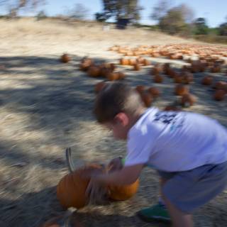 Pumpkin Patch Playtime