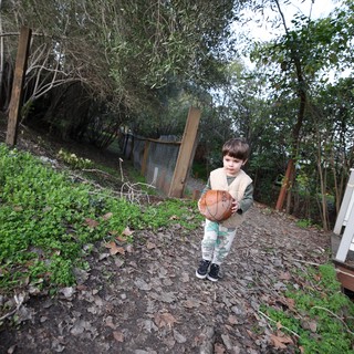 Young Child Carrying Basketball on Garden Path